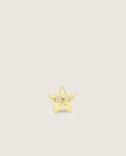 STAR GOLD CHARM