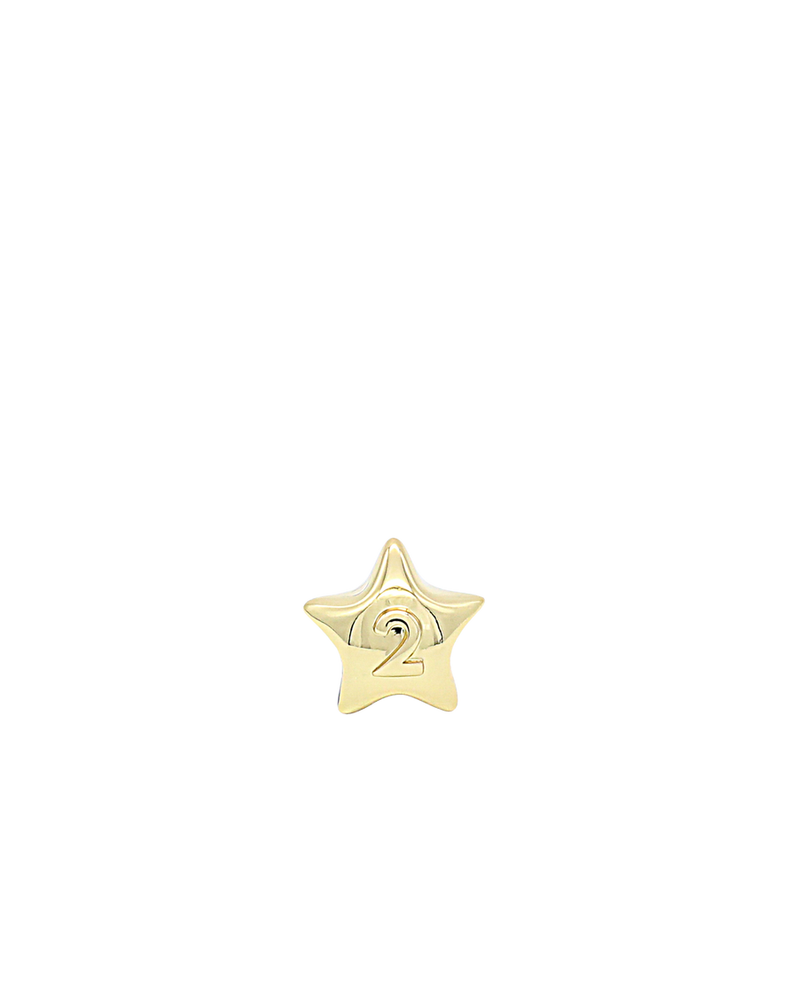 GOLD STAR CHARM